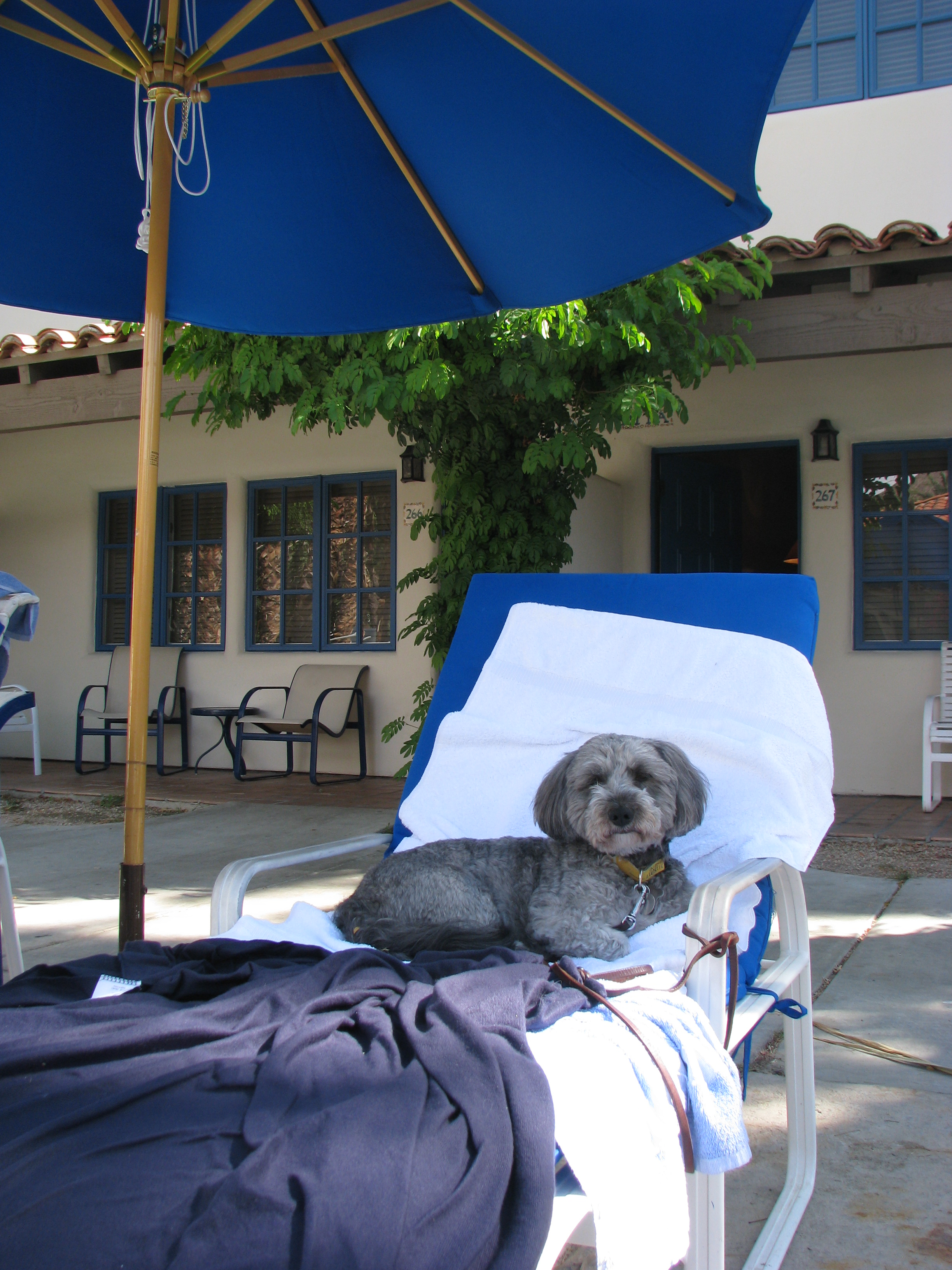Even our dog loves La Quinta.