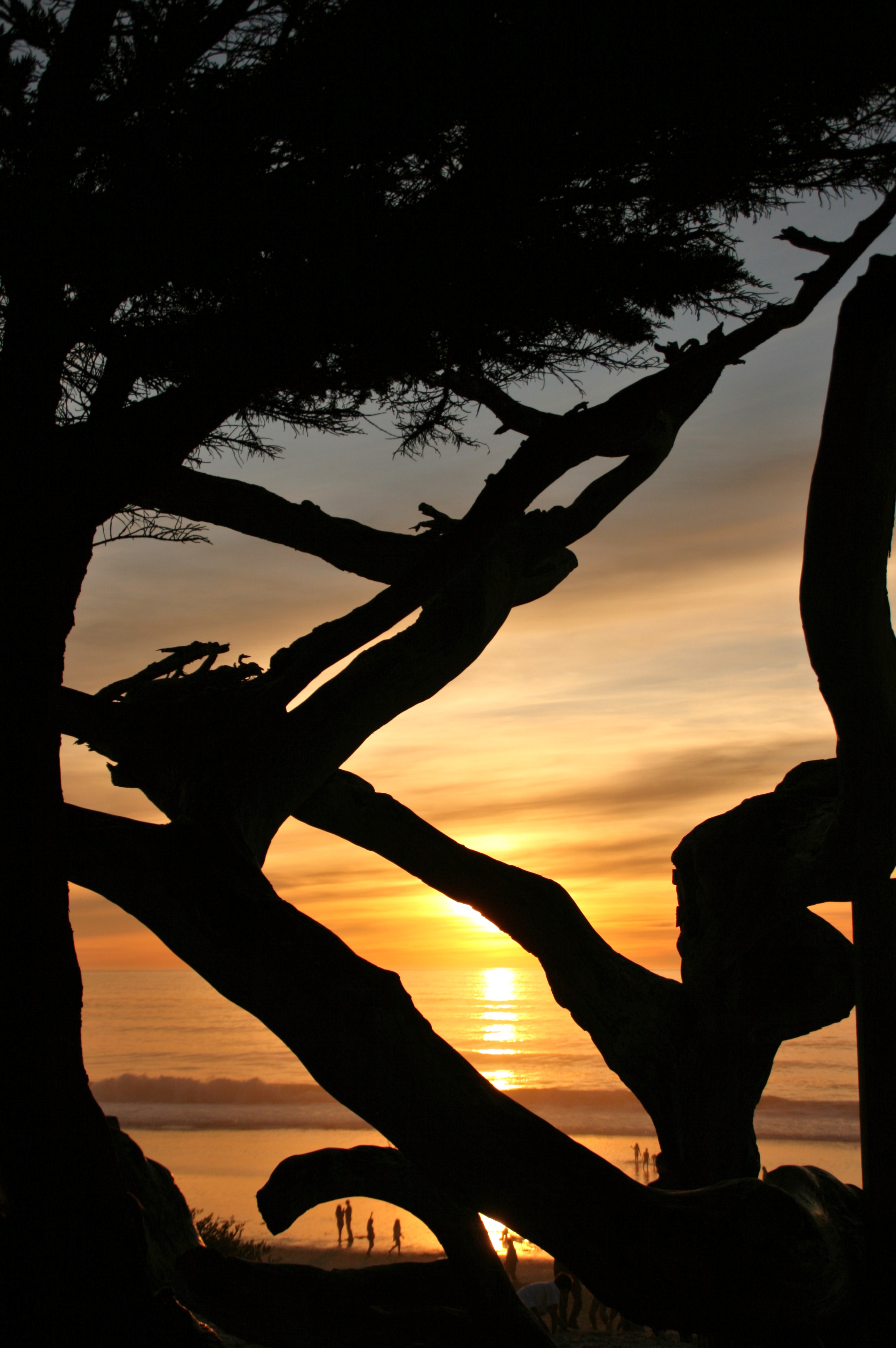 Carmel's famously spectacular sunsets draw huge crowds every evening to the town's beach.