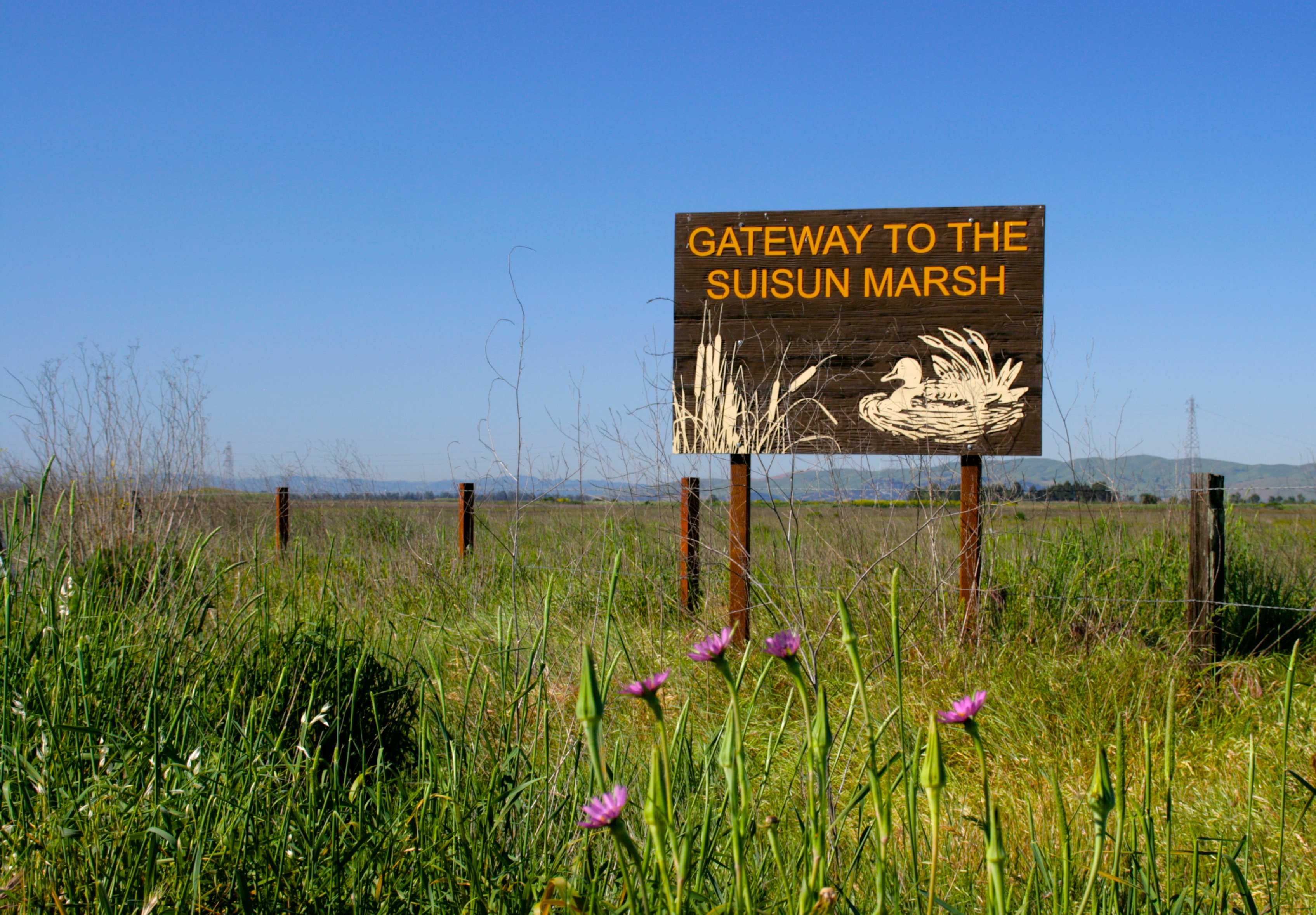 The gateway to the Suisun Marsh along Grizzly Island Rd.