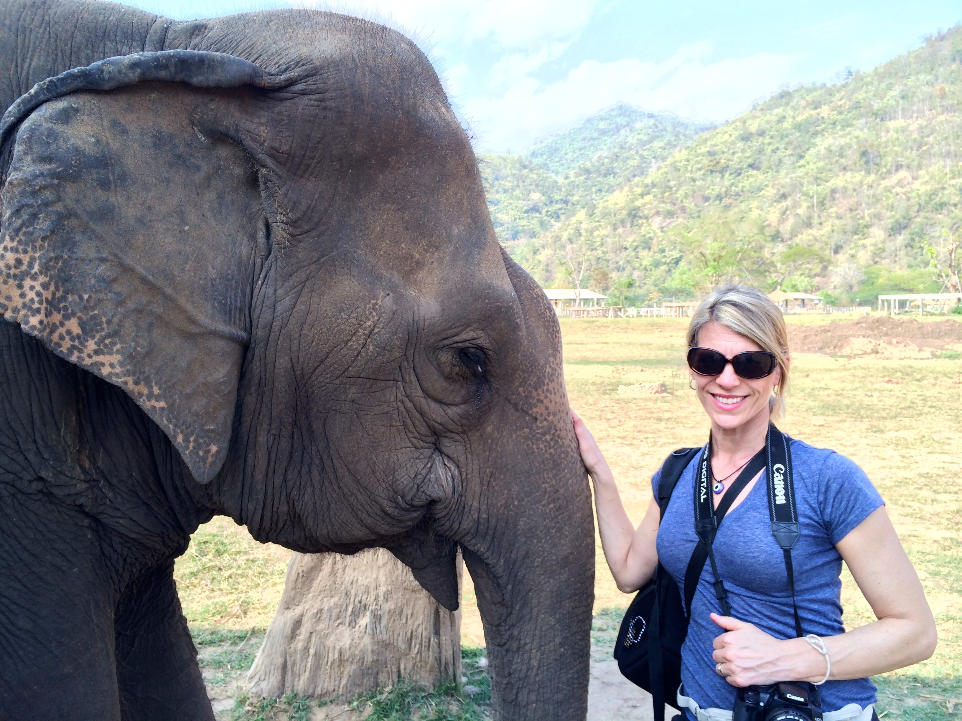 volunteering at the Elephant Nature Park in Chiang Mai Thailand