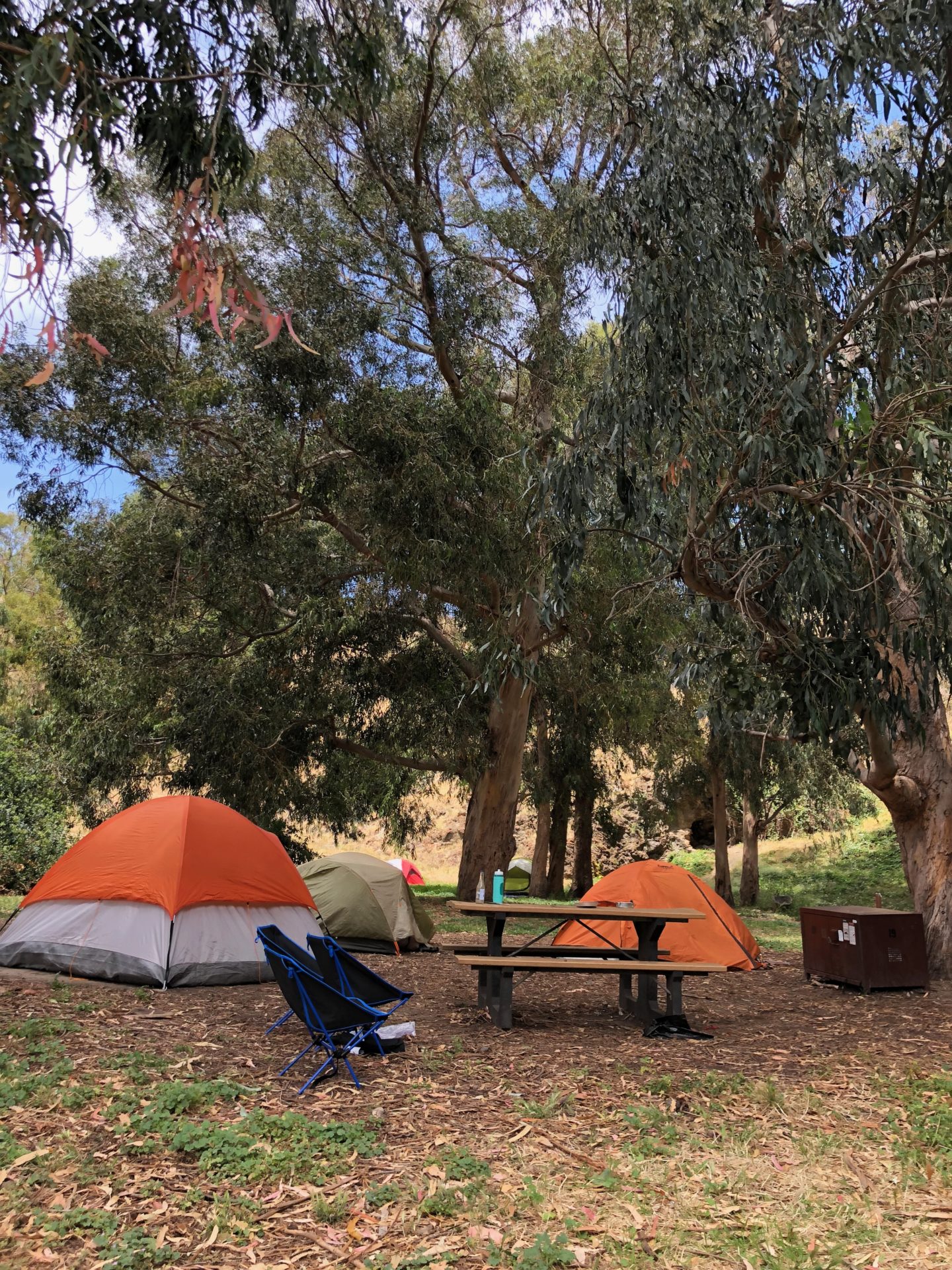 Camping site on Santa Cruz Island