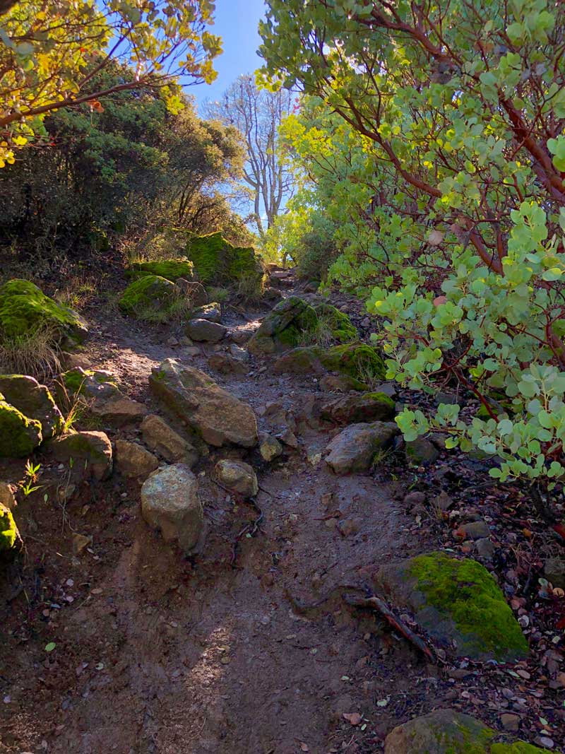 Mount Diablo Stream