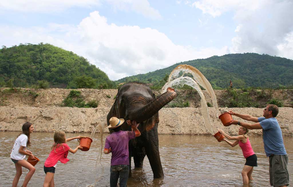 Bathing elephants at Elephant Nature Park in Thailand