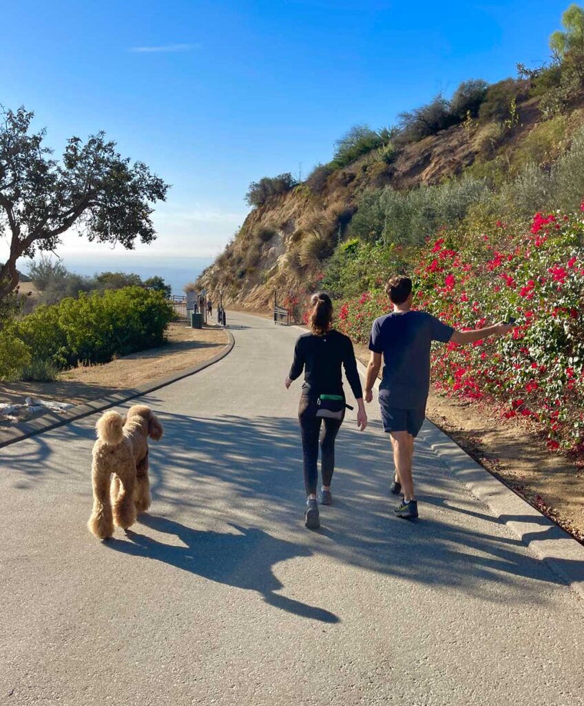 Hikers walking along paved road with dog